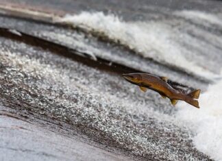 Kiedy faktury za prąd 2023?