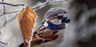 Jak się ogrzać bez ogrzewania?