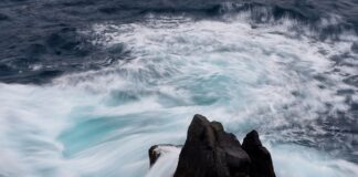 Jaka średnicy peszla do przewodów?