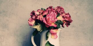 Czy ceny samochodów będą spadać?