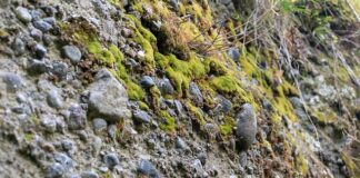 Ile kosztuje konglomerat?