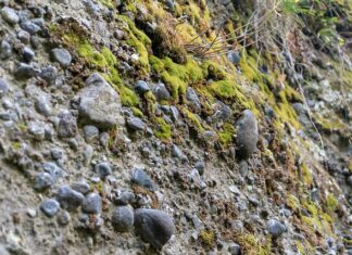 Ile kosztuje konglomerat? Ile kosztuje konglomerat?