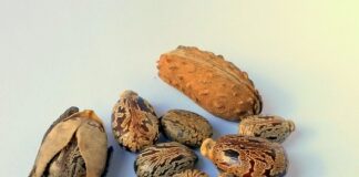 Ile należy dolać oleju do silnika?