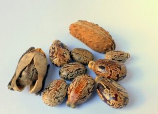 Ile należy dolać oleju do silnika?