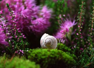 Czy sonda lambda ma wpływ na zużycie paliwa?