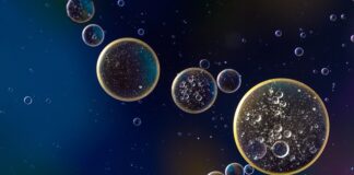 Ile wchodzi oleju do silnika 1.6 HDI Peugeot Partner?