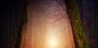 Jakie oświetlenie na budowie?