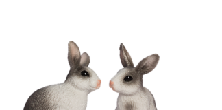 Jak działa listwa wtryskowa?