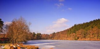 Dlaczego zamarza parownik klimatyzacji?