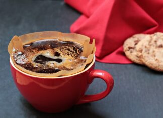 Gdzie jest filtr paliwa w kosiarki Briggs&Stratton?