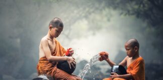 Ile kosztuje czyszczenie parownika klimatyzacji?