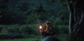 Co oznacza lampa tylna zespolona?