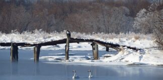 Jak nazywa się plastikowa osłona przewodu elektrycznego?