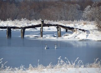 Jak nazywa się plastikowa osłona przewodu elektrycznego? Jak nazywa się plastikowa osłona przewodu elektrycznego?