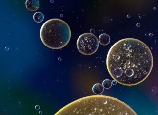 Ile kosztuje wymiana oleju w peugeot? Ile kosztuje wymiana oleju w peugeot?