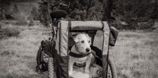 Czy przyczepka musi mieć obrysówki?