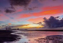 Czy WAGO trzeba izolować? Czy WAGO trzeba izolować?