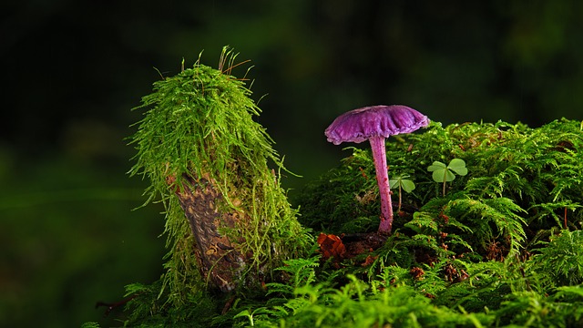 Czy można położyć gładź na farbę? Czy można położyć gładź na farbę?