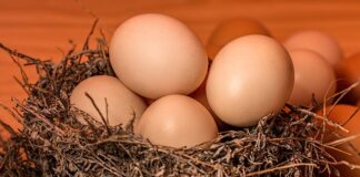 Co grozi za zbita lampę w samochodzie?