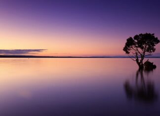 Do czego można wykorzystać wodę z suszarki? Do czego można wykorzystać wodę z suszarki?