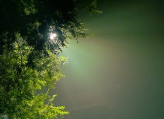 Ile K to barwa neutralna?