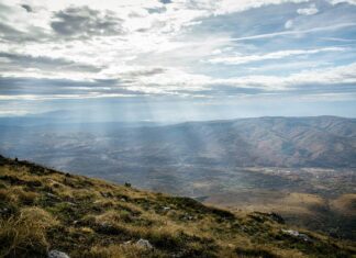 Jaka mieszanka do 2 Suwa?